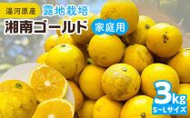 【希少フルーツ】【露地栽培】湘南ゴールド(家庭用)　3kg　2026年3月下旬頃～4月中旬頃発送予定&nbsp;|&nbsp;湯河原町&nbsp;3kg&nbsp;地域特産品&nbsp;露地栽培&nbsp;熟成&nbsp;柑橘類&nbsp;フレッシュ