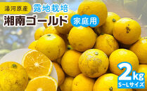 【希少フルーツ】【露地栽培】湘南ゴールド(家庭用)　2kg　2026年3月下旬頃～4月中旬頃発送予定&nbsp;|&nbsp;湯河原町&nbsp;2kg&nbsp;地域特産品&nbsp;露地栽培&nbsp;熟成&nbsp;柑橘類&nbsp;フレッシュ