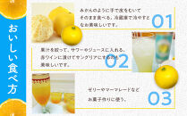【希少フルーツ】【露地栽培】湘南ゴールド(家庭用)　2kg　2027年3月中旬頃～3月下旬頃発送予定&nbsp;|&nbsp;湯河原町&nbsp;2kg&nbsp;地域特産品&nbsp;露地栽培&nbsp;熟成&nbsp;柑橘類&nbsp;フレッシュ