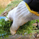 ［全12回］ お墓掃除定期便＋仏花１対