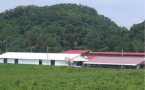 藤増 しまね和牛まげなセット【冷蔵】