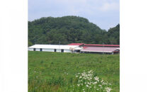 藤増&nbsp;しまね和牛ロース&nbsp;スライス&nbsp;550g【冷蔵】｜しまね和牛&nbsp;黒毛和牛&nbsp;ロース&nbsp;スライス&nbsp;550g&nbsp;すき焼き&nbsp;冷蔵&nbsp;肉&nbsp;藤増&nbsp;ふるさと納税&nbsp;出雲市