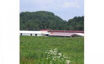 藤増 しまね和牛モモ スライス 700g【冷蔵】