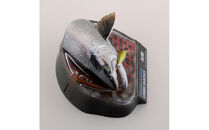 SHIMANO×海洋堂 STRIKE FANTASY　STRIKEFANTASY サクラマス