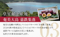 2026年先行受付【農薬・除草剤不使用】奄美大島産樹上完熟パッションフルーツ３kg