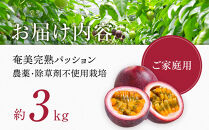 2026年先行受付【農薬・除草剤不使用】奄美大島産樹上完熟パッションフルーツ３kg