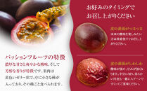 2026年先行受付【農薬・除草剤不使用】奄美大島産樹上完熟パッションフルーツ３kg