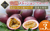 先行受付【農薬・除草剤不使用】奄美大島農家直送　樹上完熟パッションフルーツ３kg&nbsp;|&nbsp;先行予約&nbsp;産地直送&nbsp;パッションフルーツ&nbsp;フルーツ&nbsp;果物&nbsp;南国&nbsp;新鮮&nbsp;甘み&nbsp;奄美大島