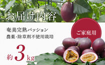 先行受付【農薬・除草剤不使用】奄美大島農家直送　樹上完熟パッションフルーツ３kg&nbsp;|&nbsp;先行予約&nbsp;産地直送&nbsp;パッションフルーツ&nbsp;フルーツ&nbsp;果物&nbsp;南国&nbsp;新鮮&nbsp;甘み&nbsp;奄美大島