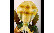 SHIMANO×海洋堂 STRIKE FANTASY　STRIKEFANTASY アオリイカ