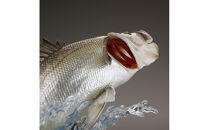 SHIMANO×海洋堂 STRIKE FANTASY　STRIKEFANTASY スズキ