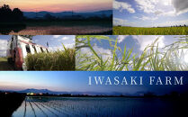 ◆ふるさとチョイス限定◆【定期便】令和7年産　ななつぼし&nbsp;5kg×1袋&nbsp;3ヶ月隔月発送【&nbsp;新米&nbsp;特A&nbsp;北海道産&nbsp;白米&nbsp;精米&nbsp;ご飯&nbsp;ごはん&nbsp;米&nbsp;5kg&nbsp;お米&nbsp;ななつぼし&nbsp;&nbsp;旭川市ふるさと納税&nbsp;北海道ふるさと納税&nbsp;旭川市&nbsp;北海道&nbsp;】_05538