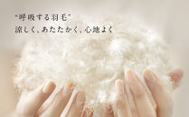 リファ&nbsp;VITALPILLOW&nbsp;PREMIUM