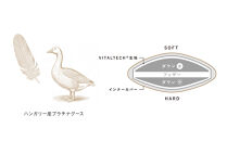 リファ&nbsp;VITALPILLOW&nbsp;PREMIUM&nbsp;SUITE