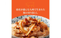 【定期便/6ヶ月連続】毎日の献立に！おおいたの牛・豚・鶏をセットでお届け（計9kg）&nbsp;切り落とし&nbsp;切落し&nbsp;スライス_2574R-2