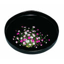 丸盆&nbsp;梅型山道盆&nbsp;黒&nbsp;コスモス（金蒔絵）&nbsp;［YG449］