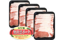 奥出雲ポークローススライス&nbsp;計1200g