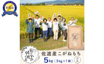 【新米】佐渡島産 こがねもち 精米 5Kg