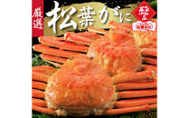 松葉がに タグ付き（茹で）中サイズ 1枚