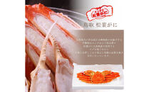 松葉がに タグ付き（茹で）中サイズ 1枚
