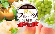 定期便全3回&nbsp;【7月・8月・9月発送】&nbsp;和歌山の夏のフルーツをお届け（桃・梨・シャインマスカット）&nbsp;［TM224］