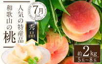 定期便全3回&nbsp;【7月・8月・9月発送】&nbsp;和歌山の夏のフルーツをお届け（桃・梨・シャインマスカット）&nbsp;［TM224］