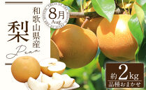 定期便全3回&nbsp;【7月・8月・9月発送】&nbsp;和歌山の夏のフルーツをお届け（桃・梨・シャインマスカット）&nbsp;［TM224］