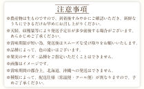 定期便全3回&nbsp;【7月・8月・9月発送】&nbsp;和歌山の夏のフルーツをお届け（桃・梨・シャインマスカット）&nbsp;［TM224］