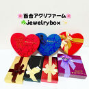 ぶどう2026年マイハート18粒入り化粧箱レッド