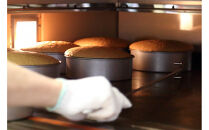 広島ご当地菓子　蘭楽堂のバターカステラ 2個