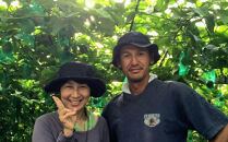 奄美大島産 島れもん 5kg＜芳醇な香りと爽やかな味の国産レモン＞|レモン れもん 檸檬 柑橘 フルーツ ふるーつ 果物 くだもの