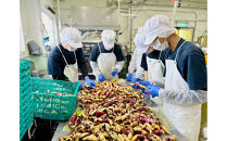 さつまいもラテ　10缶&nbsp;【&nbsp;ラテ&nbsp;ドリンク&nbsp;飲み物&nbsp;サツマイモ&nbsp;デザート&nbsp;飲料&nbsp;北海道&nbsp;旭川市&nbsp;】_04872