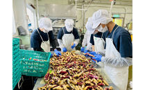 さつまいもラテ　10缶&nbsp;【&nbsp;ラテ&nbsp;ドリンク&nbsp;飲み物&nbsp;サツマイモ&nbsp;デザート&nbsp;飲料&nbsp;北海道&nbsp;旭川市&nbsp;】_04872