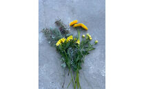 素材を楽しむ季節のお花＊ハーフ＊(全12回)