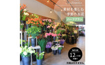 素材を楽しむ季節のお花＊ハーフ＊(全12回)|&nbsp;花&nbsp;記念&nbsp;誕生日&nbsp;サプライズ&nbsp;ギフト&nbsp;プレゼント&nbsp;神奈川県&nbsp;小田原市&nbsp;