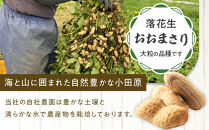 ゆで落花生おおまさり150ｇ×10ｐセット｜加工品&nbsp;落花生&nbsp;塩ゆで&nbsp;人気&nbsp;おすすめ&nbsp;ピーナッツ&nbsp;おつまみ&nbsp;おやつ&nbsp;豆類&nbsp;おすすめ&nbsp;人気&nbsp;送料無料&nbsp;神奈川県&nbsp;小田原市