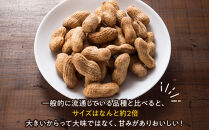 ゆで落花生おおまさり150ｇ×10ｐセット｜加工品&nbsp;落花生&nbsp;塩ゆで&nbsp;人気&nbsp;おすすめ&nbsp;ピーナッツ&nbsp;おつまみ&nbsp;おやつ&nbsp;豆類&nbsp;おすすめ&nbsp;人気&nbsp;送料無料&nbsp;神奈川県&nbsp;小田原市