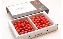 【2026年発送】山形と言えばさくらんぼ！紅秀峰&nbsp;約350g×2P&nbsp;(L～2L)