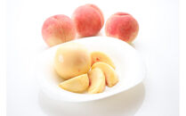 【2026年発送】大人気！夏の収穫白桃　約2kg