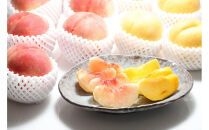 【2026年発送】どちらも食べたい！「白桃と黄桃の食べ比べセット　約２kg（4～10玉）」