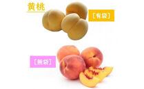 【2026年発送】どちらも食べたい！「白桃と黄桃の食べ比べセット　約３kg（7～12玉）」