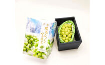 【2026年発送】*贈答用*シャインマスカット&nbsp;約700ｇ以上(１房)秀