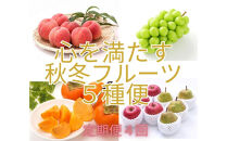 2026年度発送【定期便４回&nbsp;】心を満たす秋冬フルーツ５種便