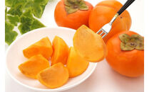 2026年度発送【定期便４回&nbsp;】心を満たす秋冬フルーツ５種便