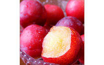 2026年度発送【定期便6回】&nbsp;彩り定期便