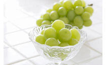 2026年度発送【定期便6回】&nbsp;彩り定期便