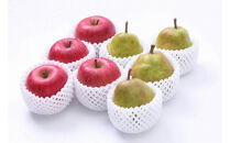 2026年度発送【定期便6回】&nbsp;彩り定期便