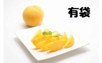 2026年度発送【定期便6回】&nbsp;彩り定期便