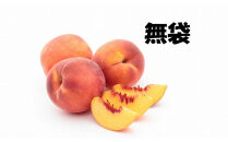 2026年度発送【定期便6回】&nbsp;彩り定期便