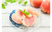 2026年度発送【定期便&nbsp;３回&nbsp;】幸せ♪桃三昧